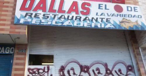 DALLAS EL PUNTO DE LA VARIEDAD DALLAS EL PUNTO DE LA VARIEDAD